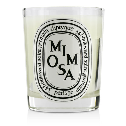 Diptyque Scented Candle - Mimosa  190g/6.5oz