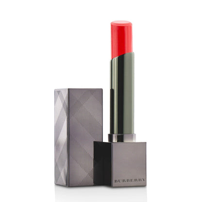 Burberry Burberry Kisses Sheer Moisturising Shine Lip Colour - # No. 221 Nude  2g/0.07oz