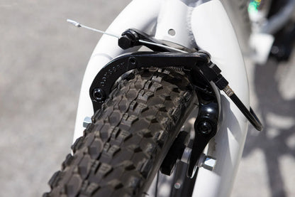 Fairdale Taj 27.5" Bike